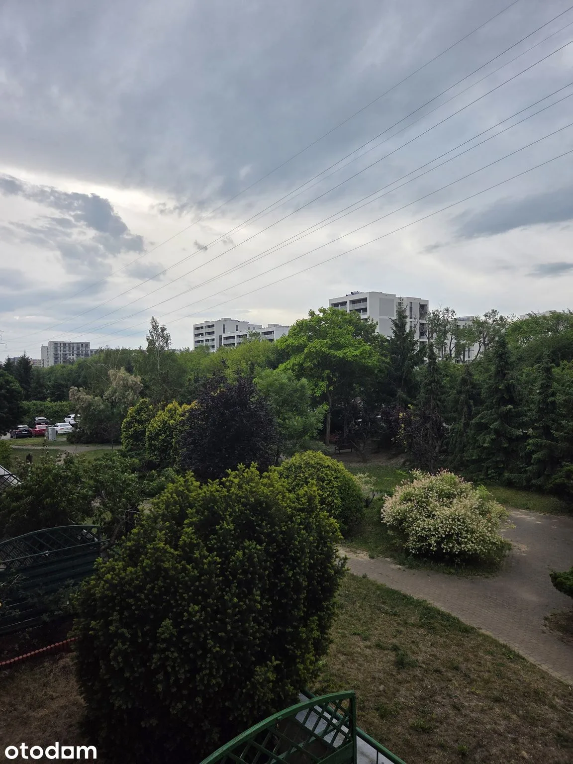view