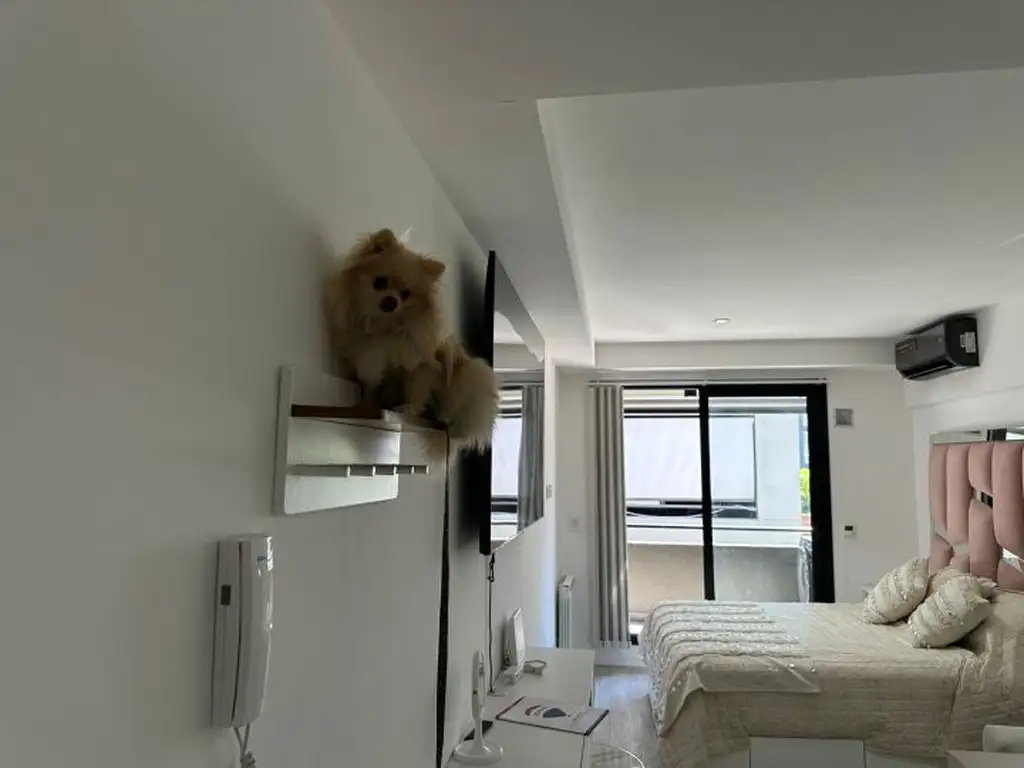 living_room