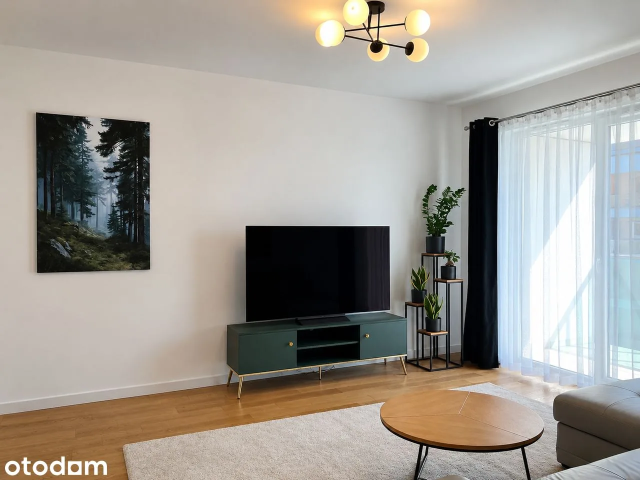 living_room