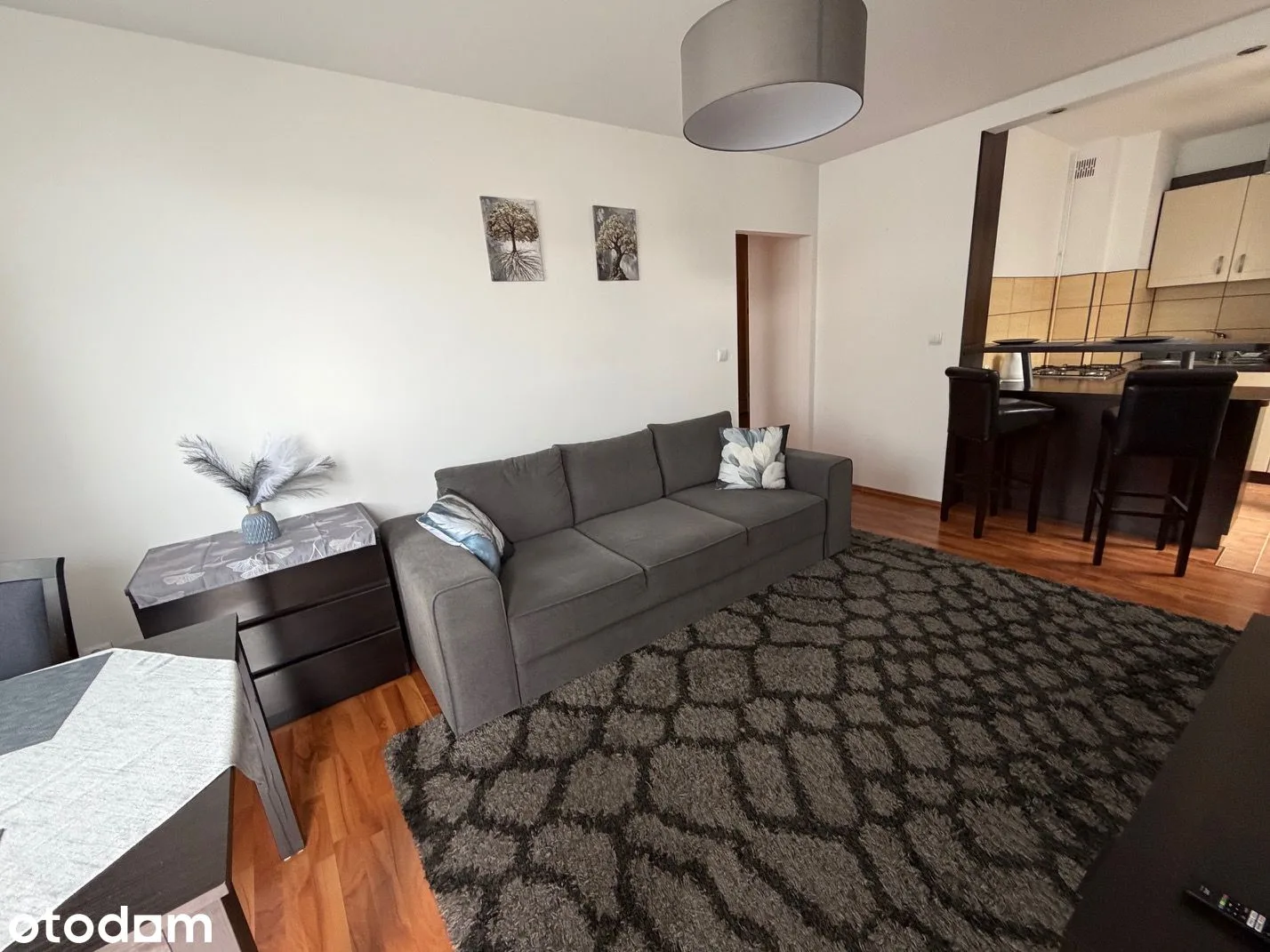 living_room