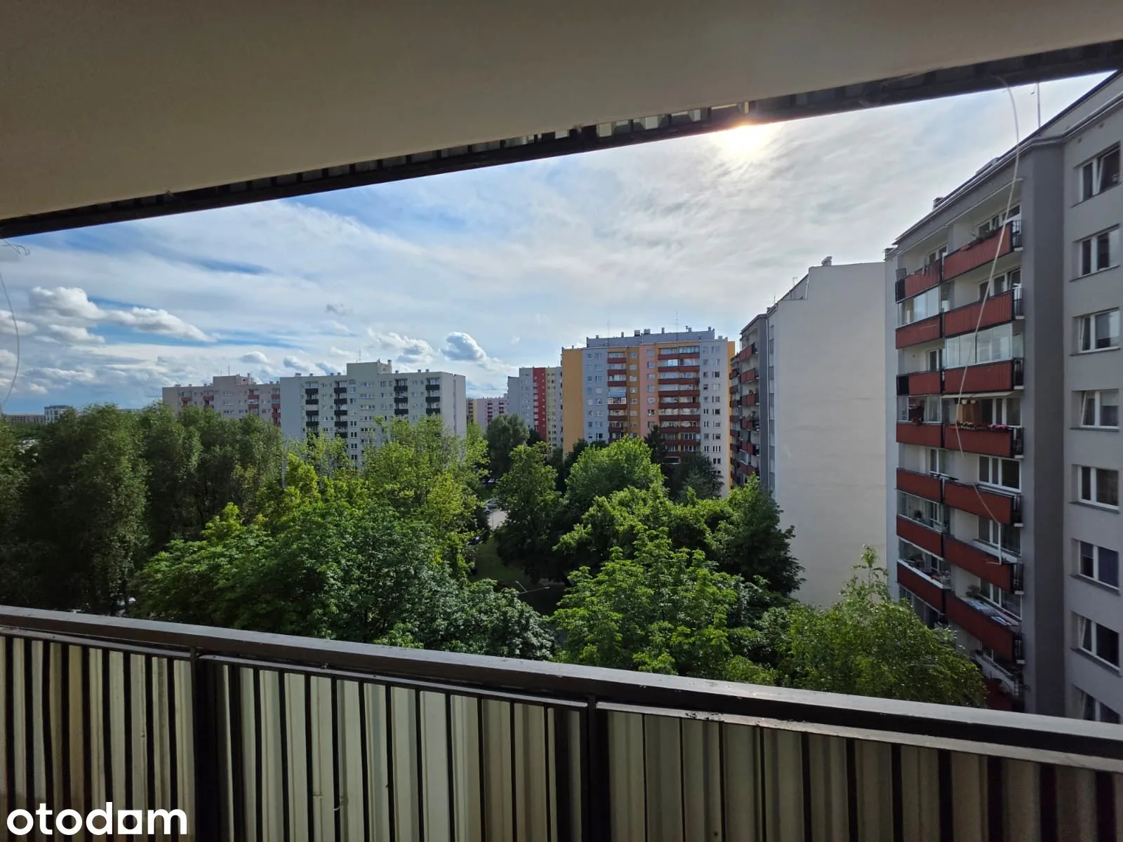 view