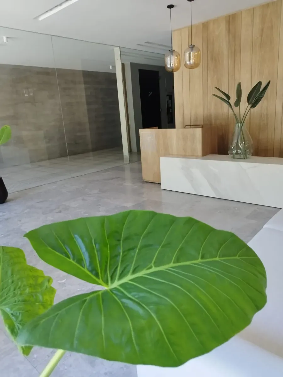 dining_room