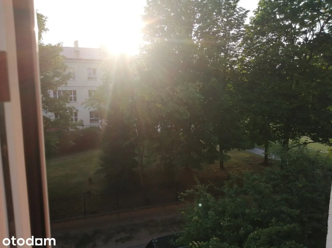 view