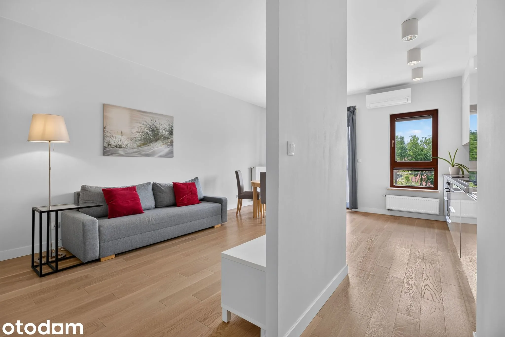 living_room