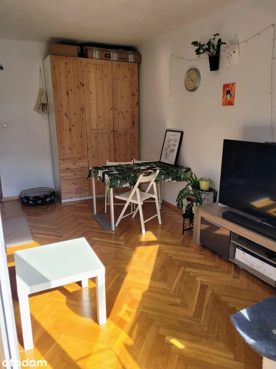 living_room