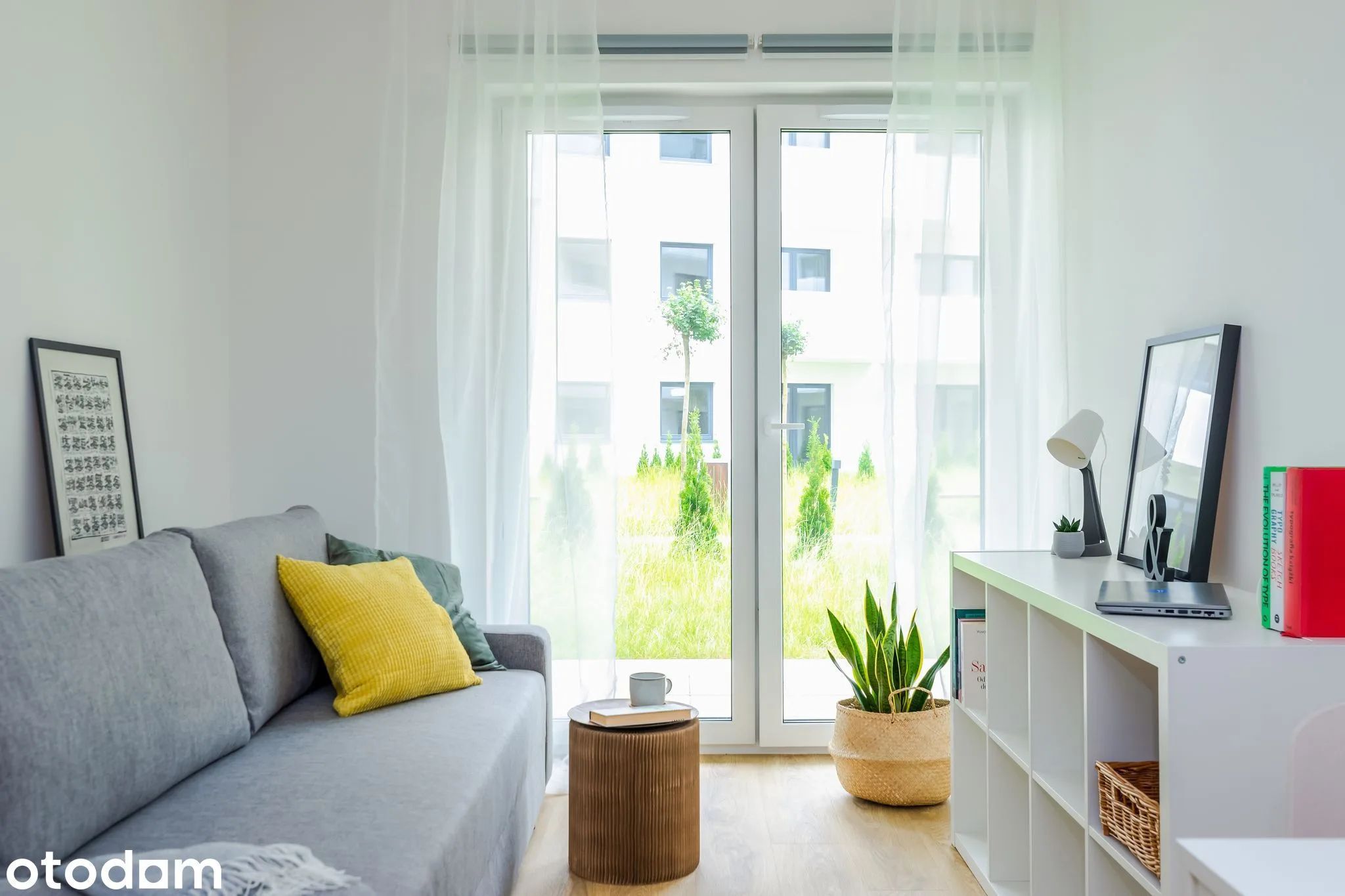 living_room