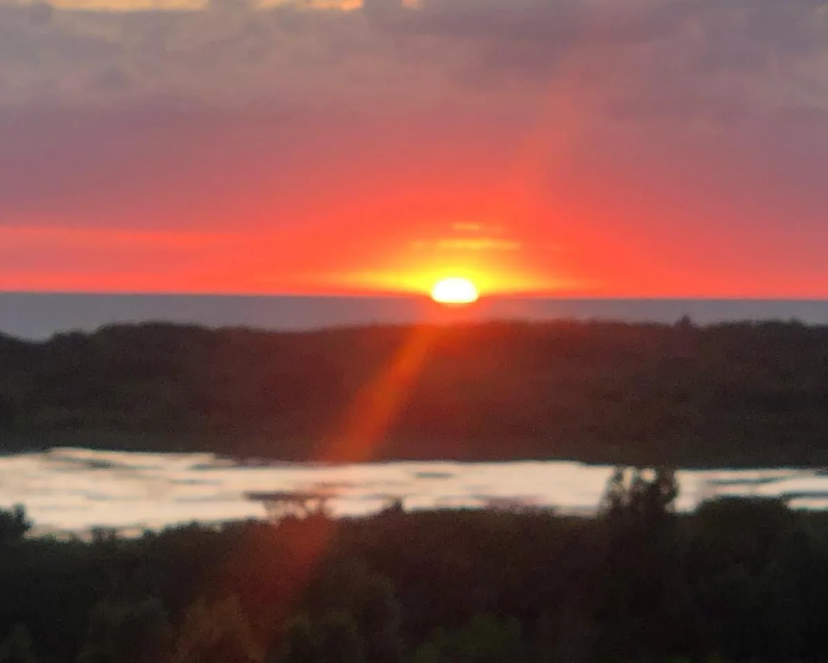 view