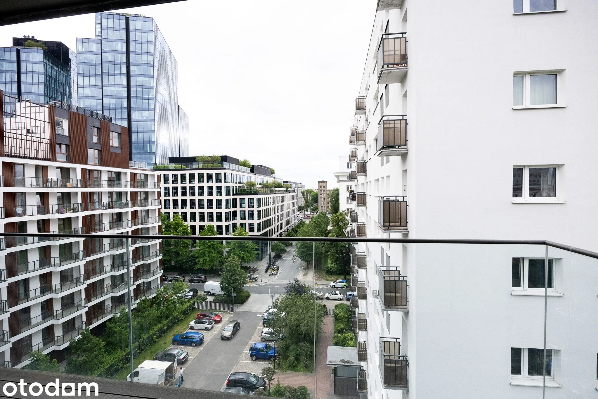 view
