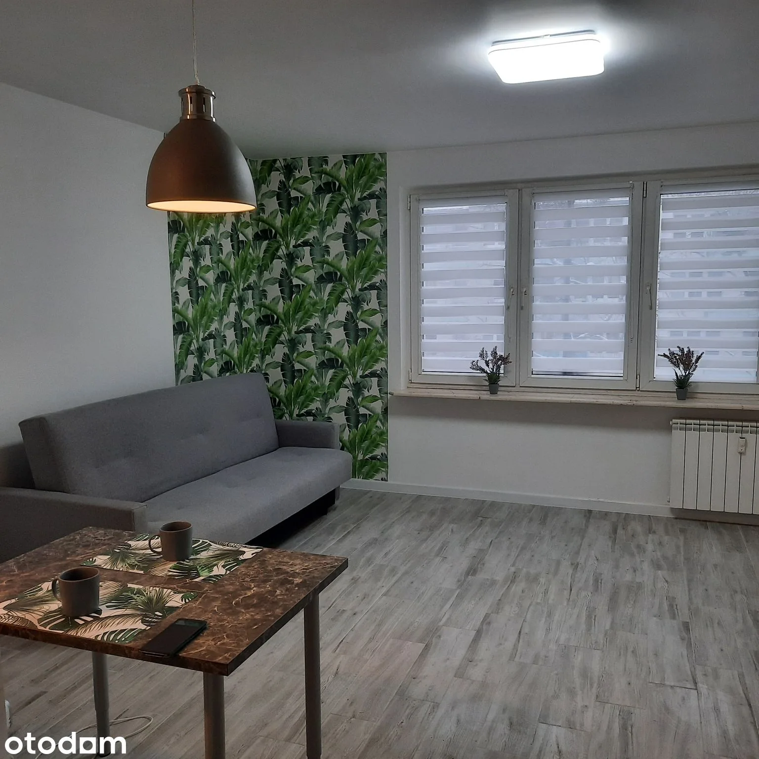 Listing: Studio, Śródmieście
