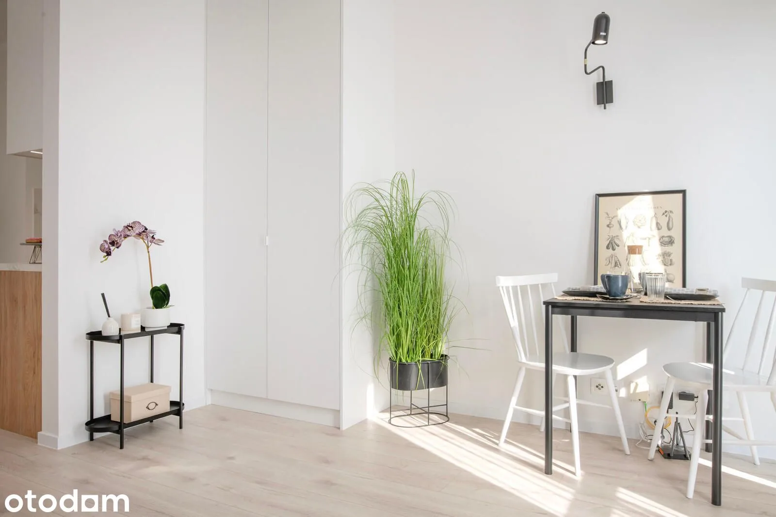living_room