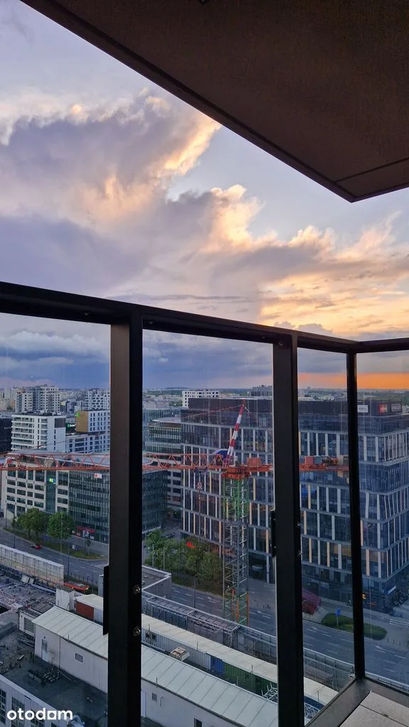 view