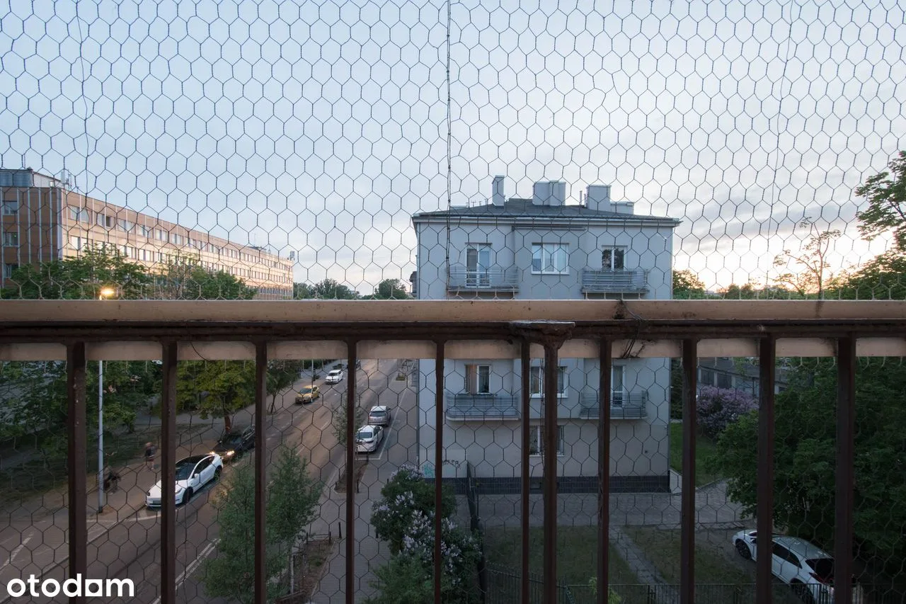 Краєвид