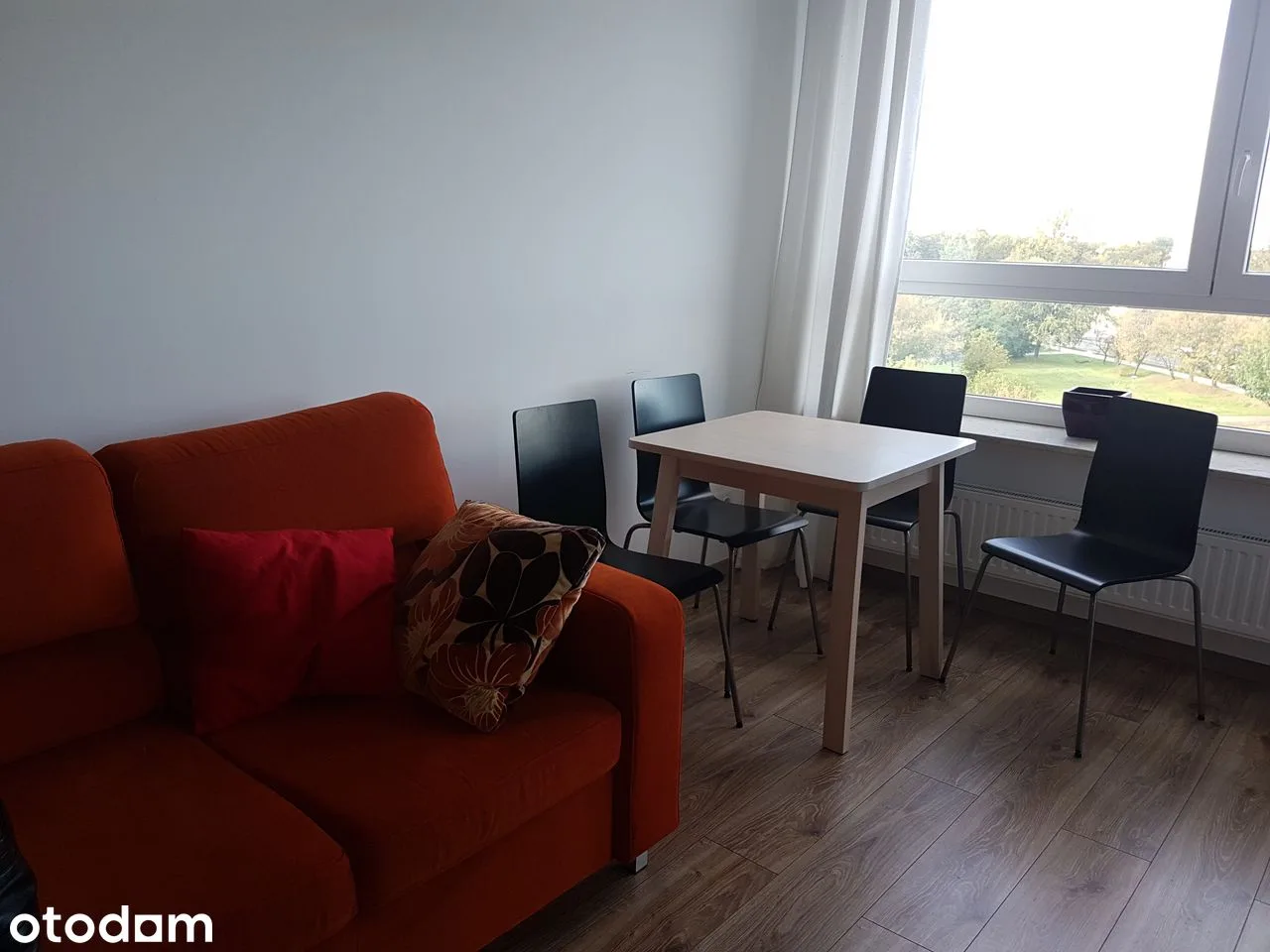living_room
