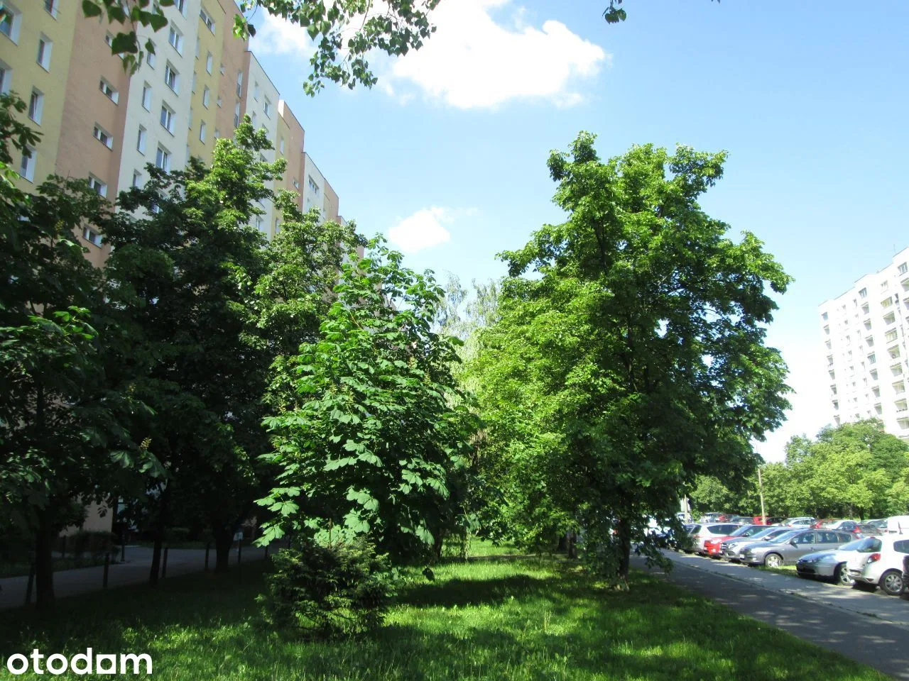 Widok