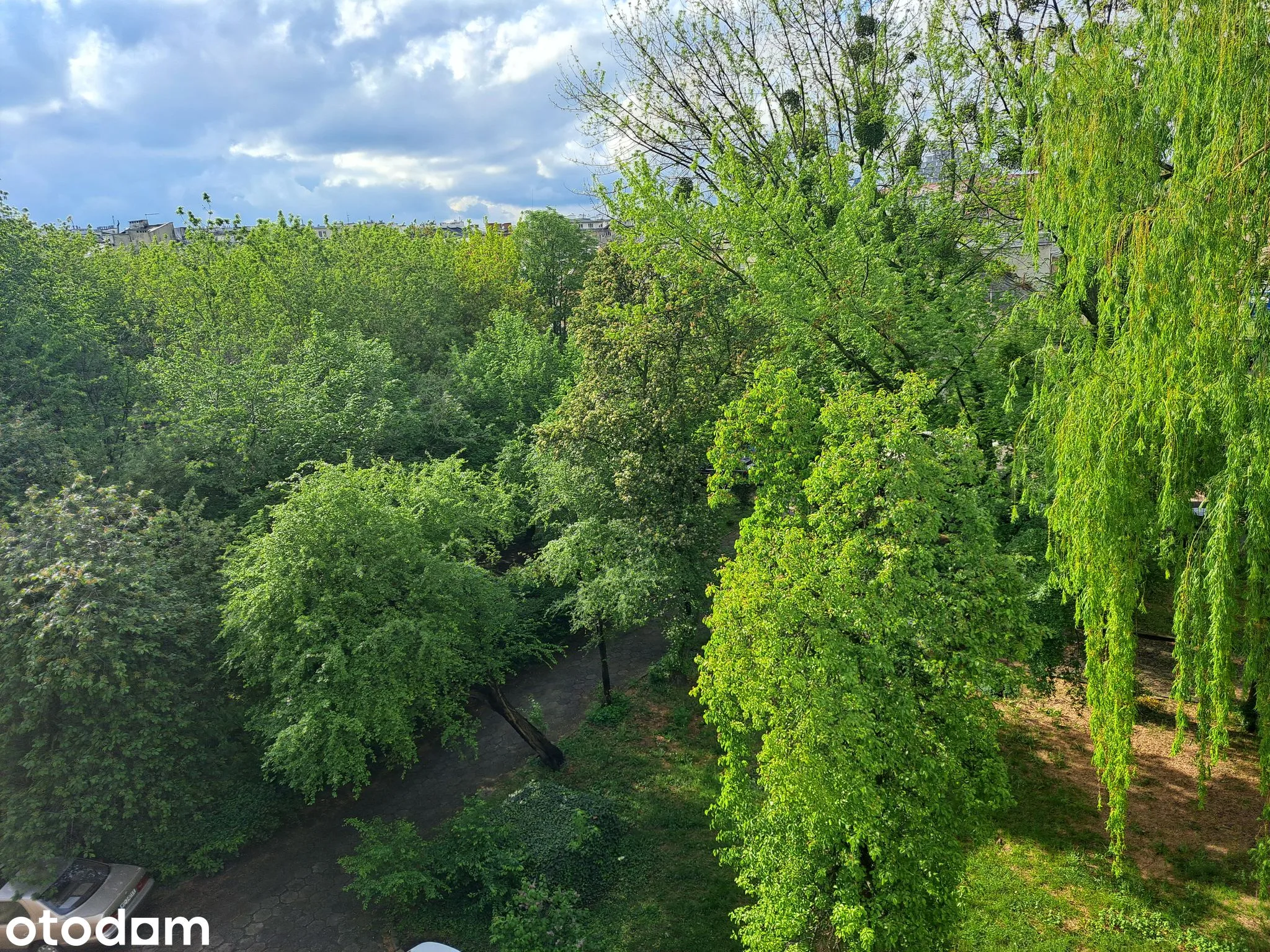 view