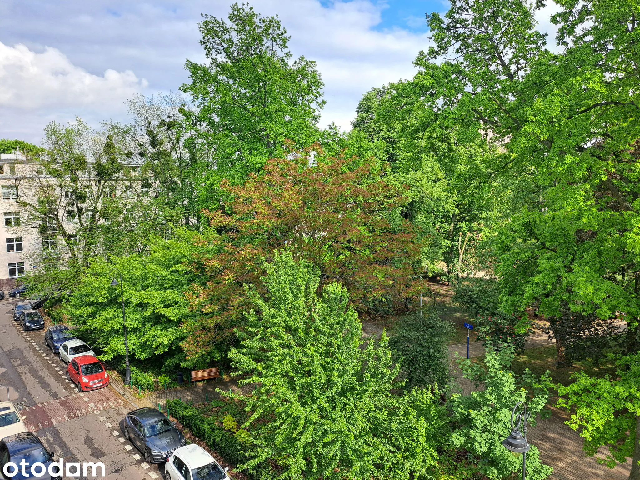 view