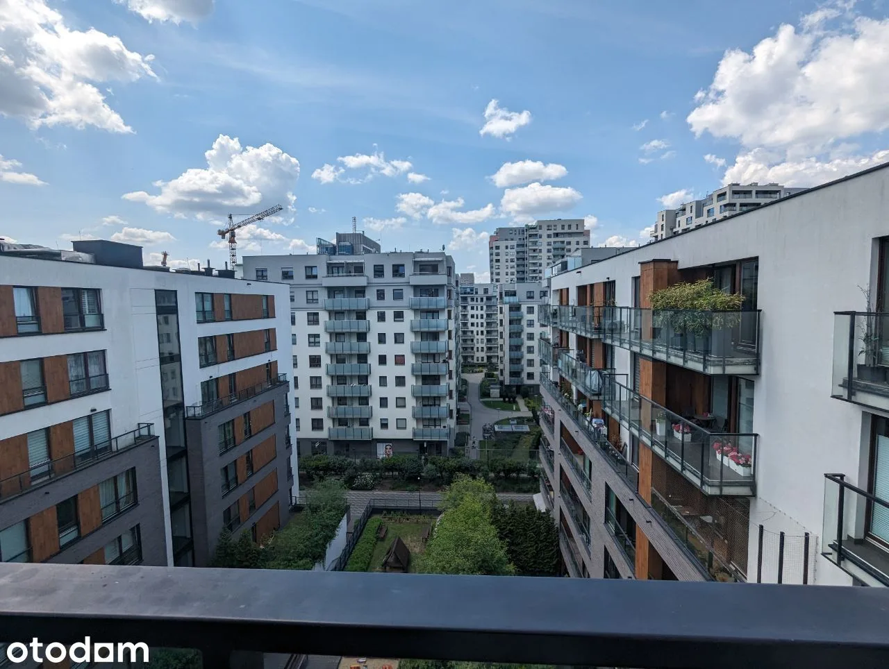 view