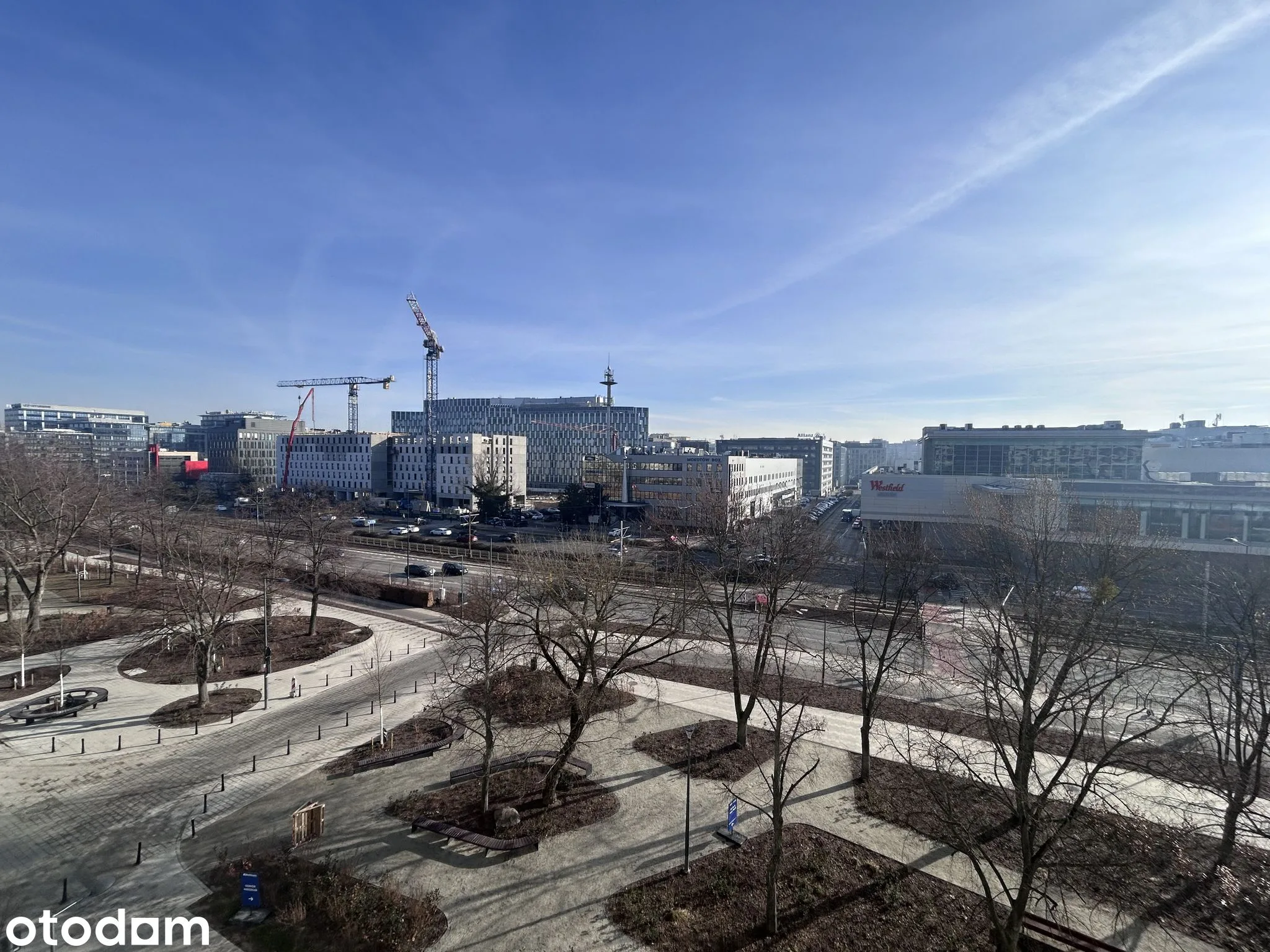 view