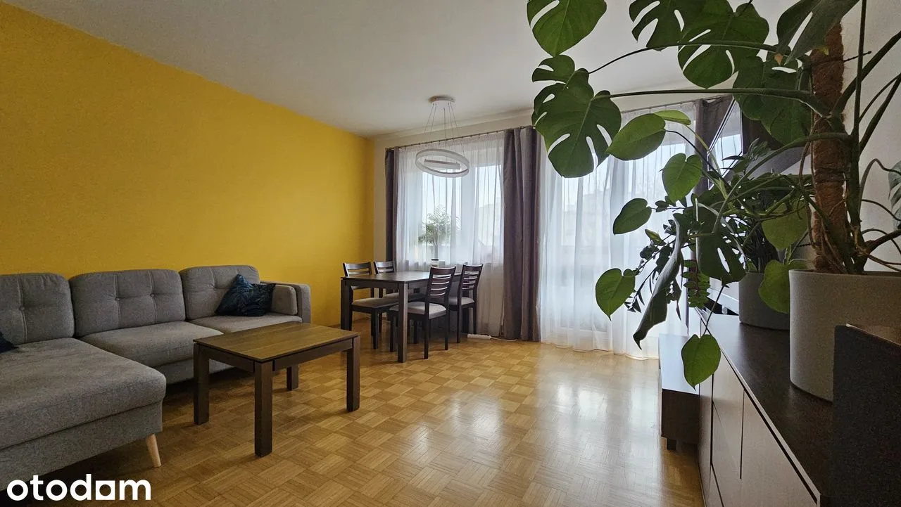 living_room